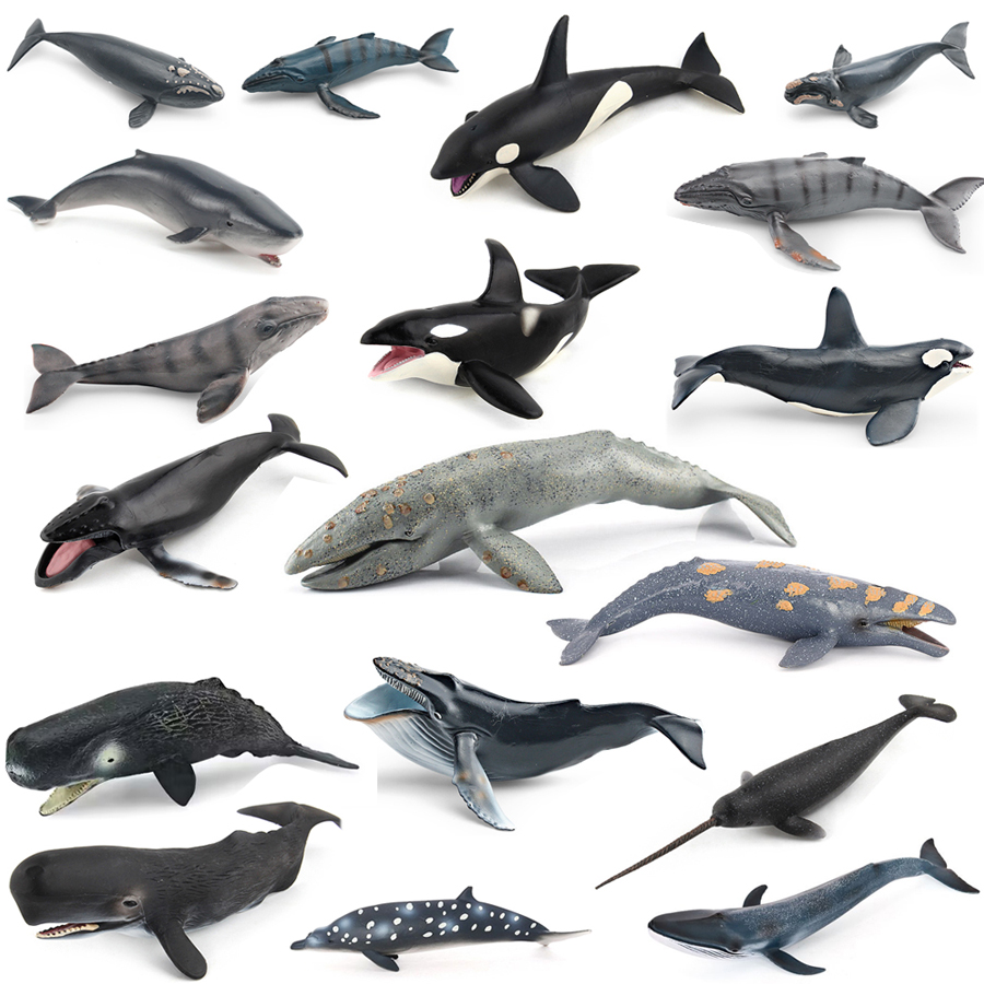 Kids Educational Gadget - Realistic Humpback Whale Sperm Whale Narwhal