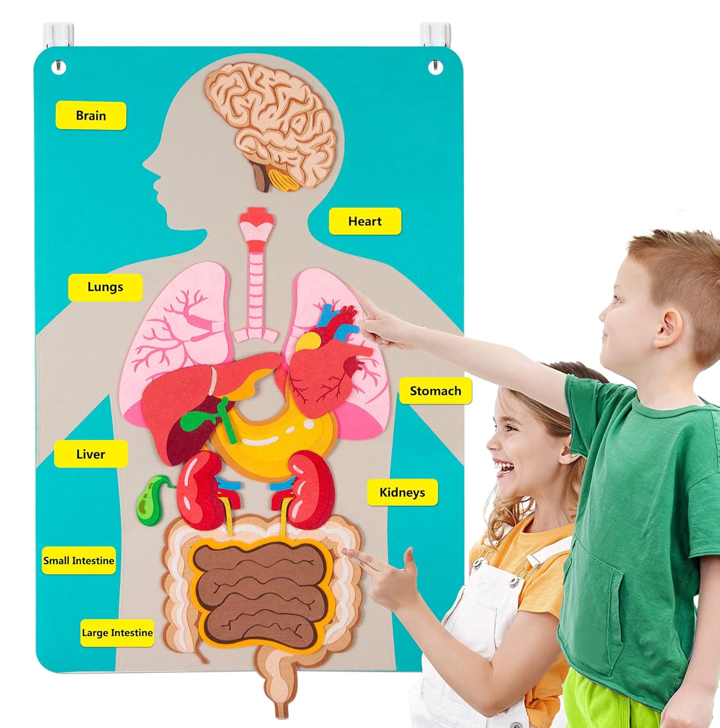Kids Education Activities - Human Body Parts Felt Board Stories
