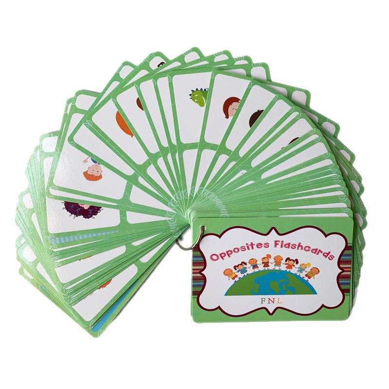 The 100 Groups Opposites Flash - đánh giá và giá Kids Educational Gadget