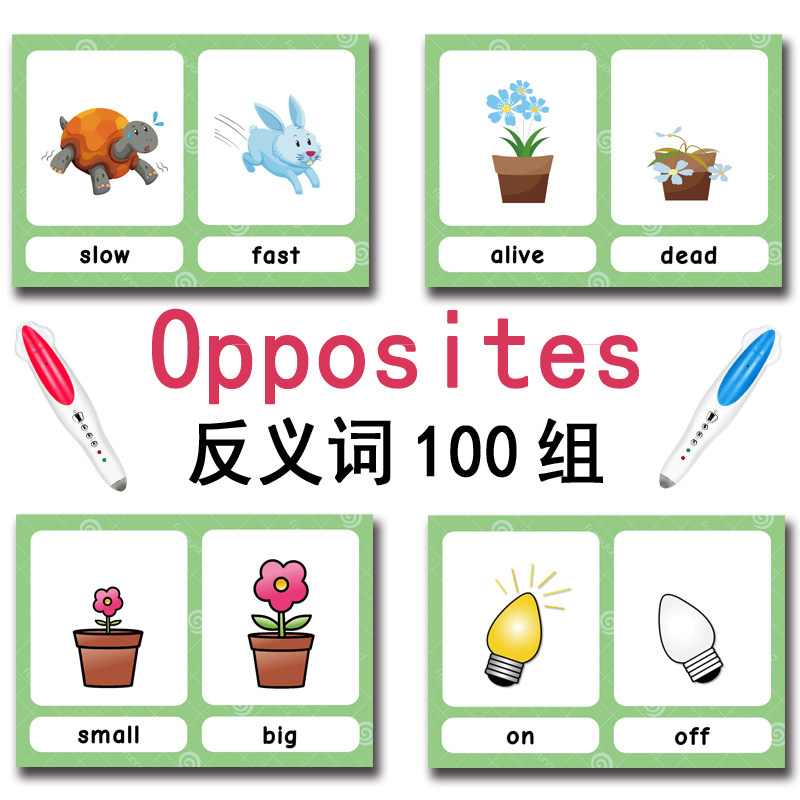 The 100 Groups Opposites Flash - đánh giá và giá Kids Educational Gadget