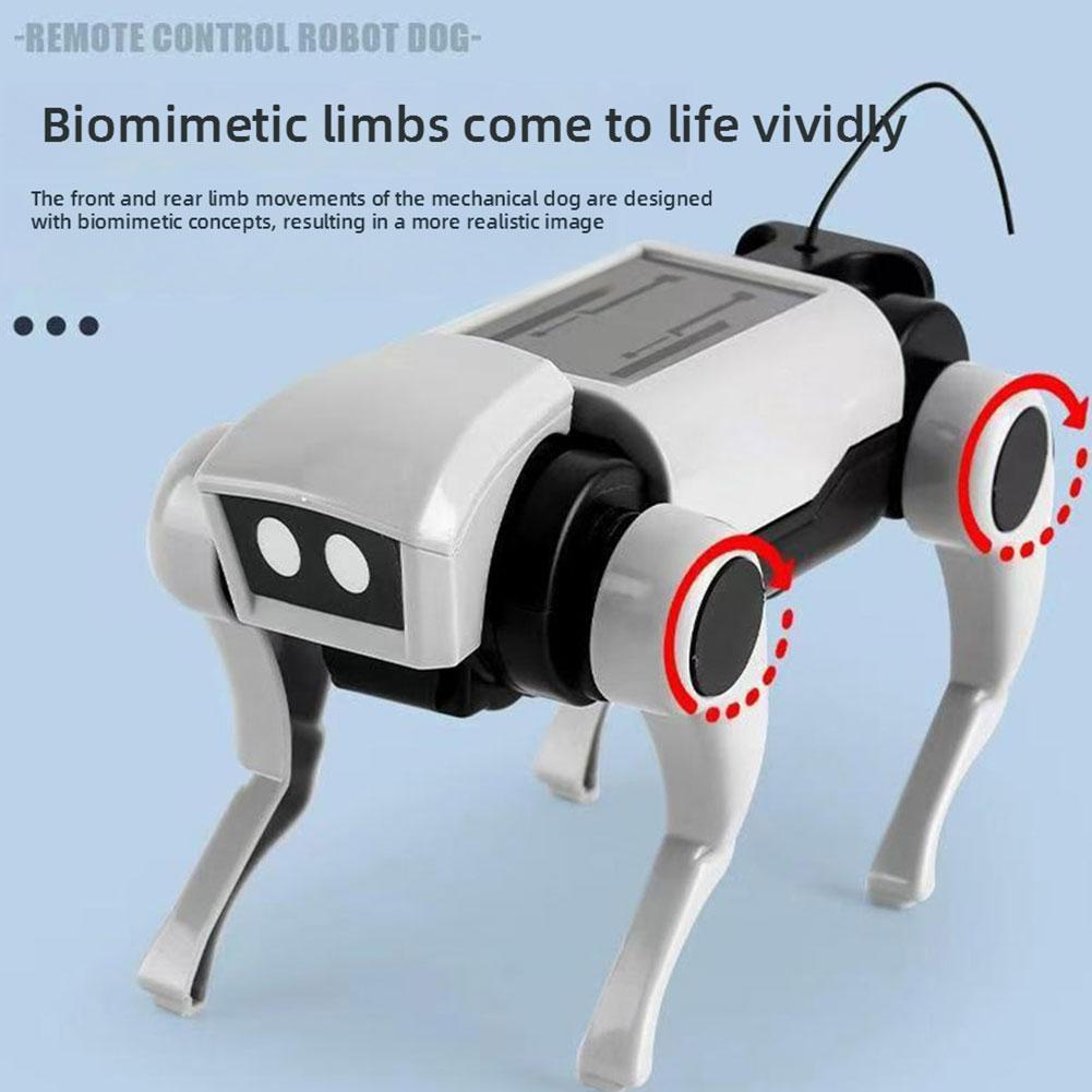 Remote Control Robot Dog Smart - đánh giá và giá Coding Robot Toy