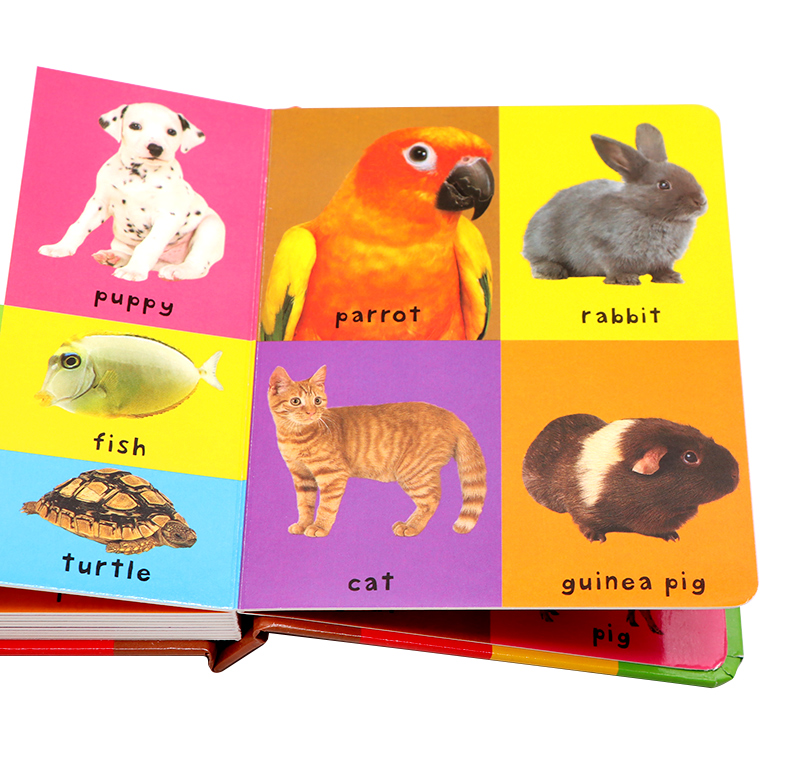 First 100 English Words Board  - đánh giá và giá Sight Word Game