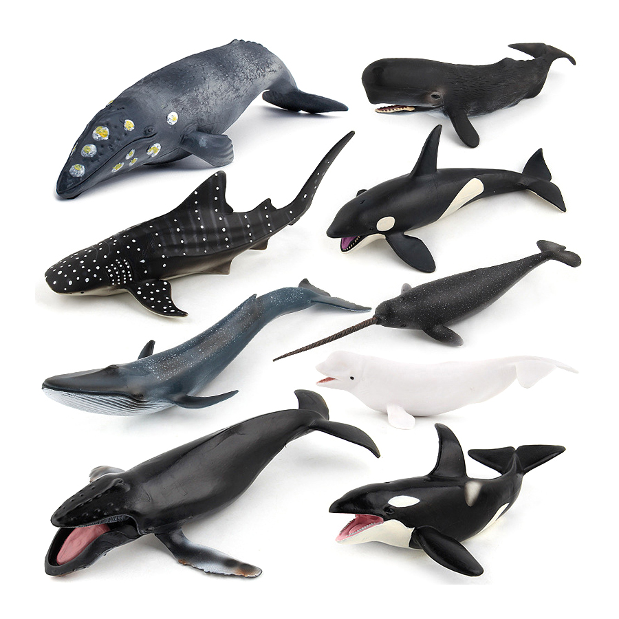 Realistic Humpback Whale Sperm - đánh giá và giá Kids Educational Gadget