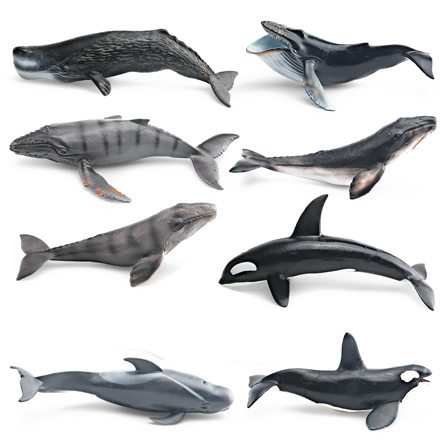 Realistic Humpback Whale Sperm - đánh giá và giá Kids Educational Gadget