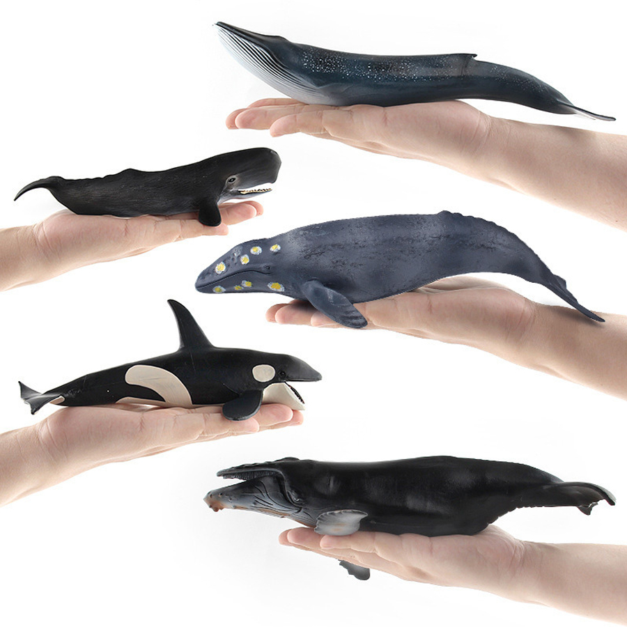 Realistic Humpback Whale Sperm - đánh giá và giá Kids Educational Gadget