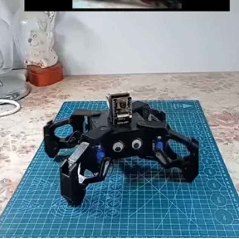 SG90 Video Robot Spider with C - đánh giá và giá Coding Robot Toy